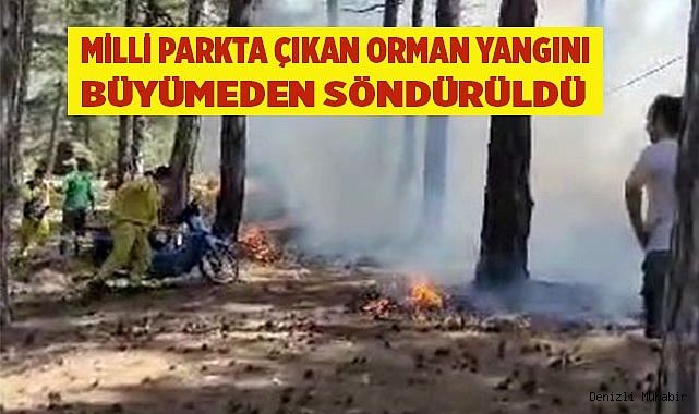 Cankurtaran'da çıkan yangın büyümeden söndürüldü