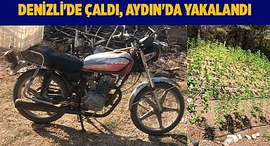 Denizli'de çaldı, Aydın'da yakalandı