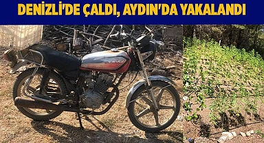 Denizli'de çaldı, Aydın'da yakalandı