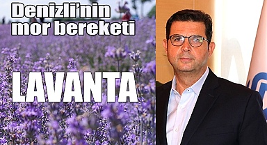 Denizli’de 8,5 ton lavanta tescil işlemi gerçekleşti