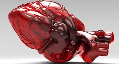 Kalp Nakli Ücretli Mi?