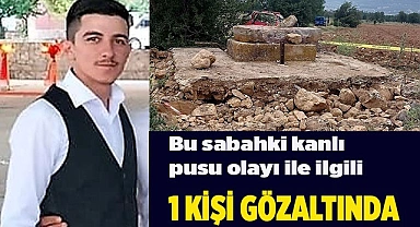 Kanlı pusu ile ilgili 1 kişi gözaltına alındı