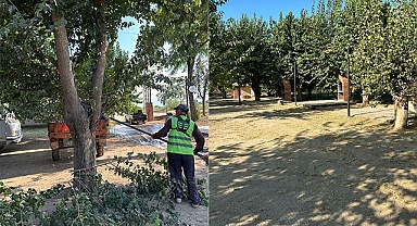 Mergen Mesire Alanı temizlendi