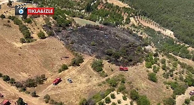Örtü yangını ormana sıçramadan söndürüldü