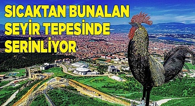 PAMUKKALE BELEDİYESİ SEYİR TEPESİ SERİNLİK ARAYANLARIN GÖZDESİ OLDU