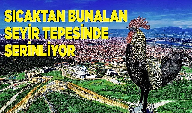 PAMUKKALE BELEDİYESİ SEYİR TEPESİ SERİNLİK ARAYANLARIN GÖZDESİ OLDU