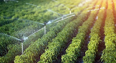 Tarımsal Sulamada Sprink Fıskiye Kullanımı ve Avantajları