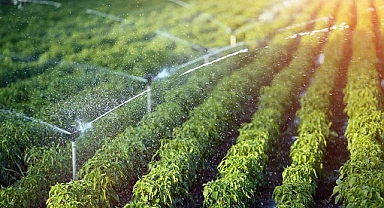 Tarımsal Sulamada Sprink Fıskiye Kullanımı ve Avantajları