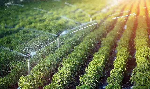 Tarımsal Sulamada Sprink Fıskiye Kullanımı ve Avantajları