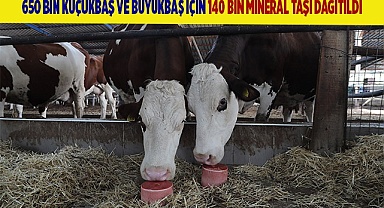Üreticiler, Büyükşehir destekleriyle nefes alıyor