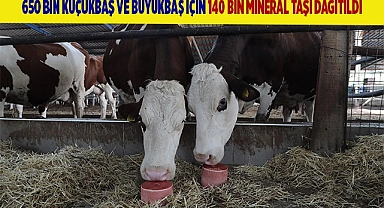 Üreticiler, Büyükşehir destekleriyle nefes alıyor