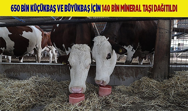 Üreticiler, Büyükşehir destekleriyle nefes alıyor
