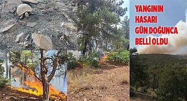 Yangının neden olduğu hasar gün doğumuyla ortaya çıktı