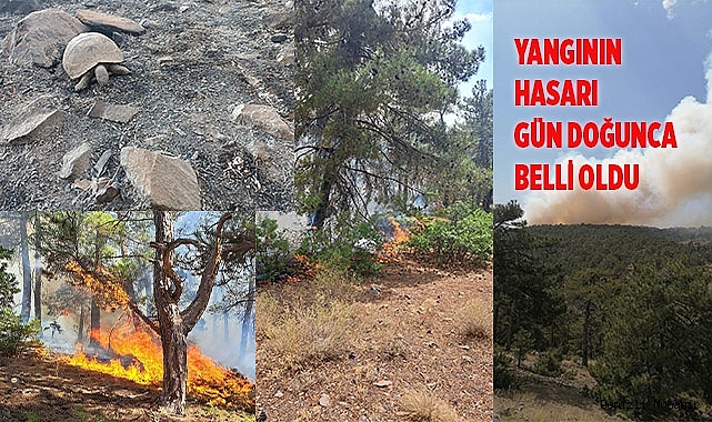 Yangının neden olduğu hasar gün doğumuyla ortaya çıktı