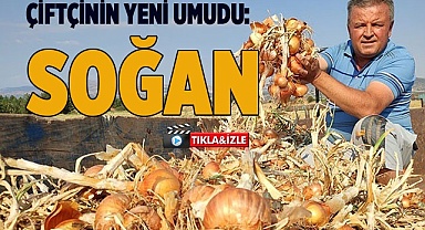 Çiftçinin yeni umudu: Soğan