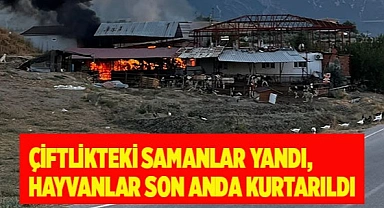 Çiftlikteki samanlar yandı, hayvanlar son anda kurtarıldı