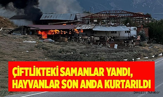 Çiftlikteki samanlar yandı, hayvanlar son anda kurtarıldı