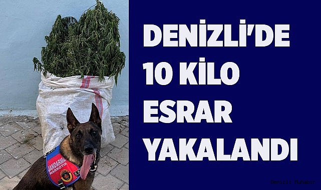 Denizli'de 10 kilo esrar yakalandı