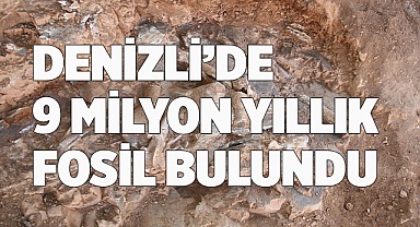 Denizli’de 9 milyon yıl öncesine ait oklu kirpi ve kuş fosili bulundu