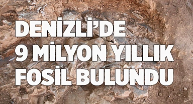Denizli’de 9 milyon yıl öncesine ait oklu kirpi ve kuş fosili bulundu
