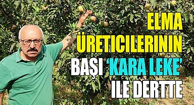 Elma üreticilerinin başı ‘kara leke’ ile dertte