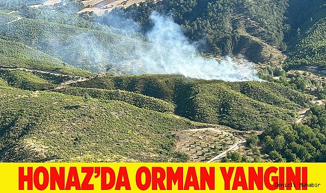 Honaz’da orman yangını