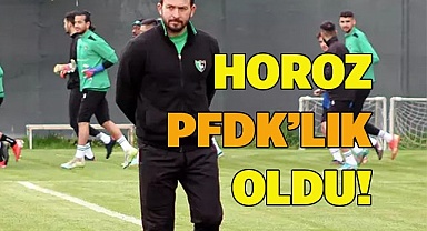 HOROZ PFDK’LIK OLDU!