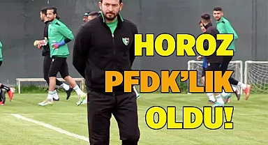 HOROZ PFDK’LIK OLDU!