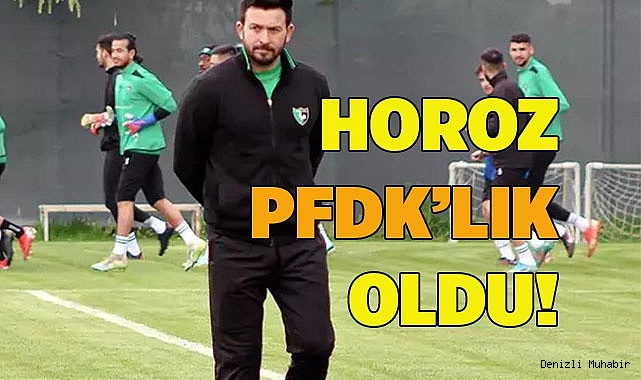 HOROZ PFDK’LIK OLDU!