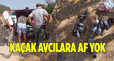 Kaçak avcılara göz açtırılmıyor