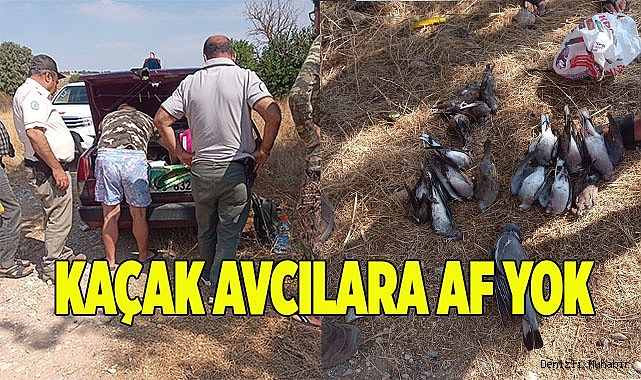 Kaçak avcılara göz açtırılmıyor