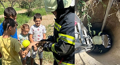 Kuyuya düşen kediyi top oynayan çocuklar fark etti