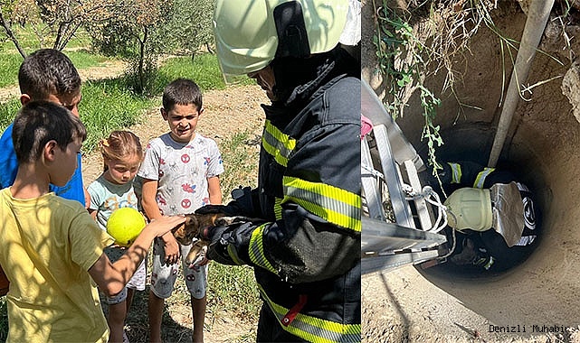 Kuyuya düşen kediyi top oynayan çocuklar fark etti