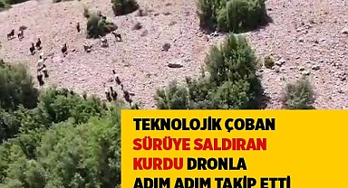 Teknolojik çoban sürüye saldıran kurdu dronla adım adım takip etti
