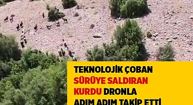 Teknolojik çoban sürüye saldıran kurdu dronla adım adım takip etti