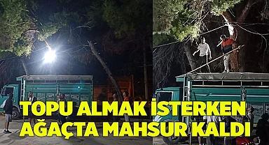 Topu almak isterken ağaçta mahsur kaldı