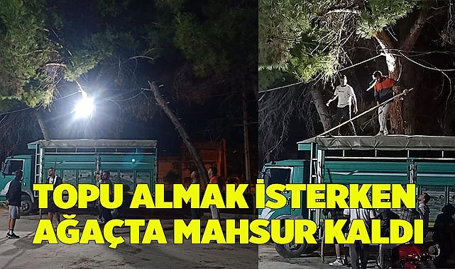 Topu almak isterken ağaçta mahsur kaldı