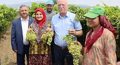 "Üzümün kıymetini bilelim"