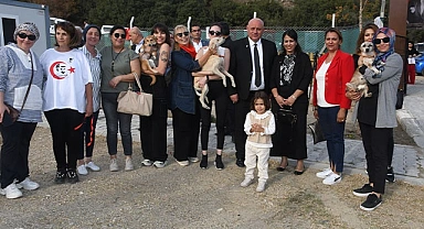 Buldan’da can dostlar yeni yuvalarına kavuştu