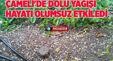 Çameli'de dolu yağışı hayatı olumsuz etkiledi