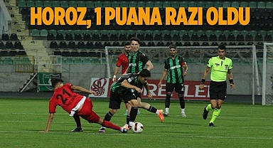 Denizlispor: 1 - 24Erzincanspor: 1