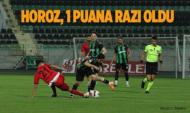 Denizlispor: 1 - 24Erzincanspor: 1