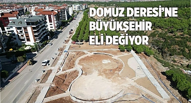 Domuz Deresi’ne Büyükşehir eli değiyor