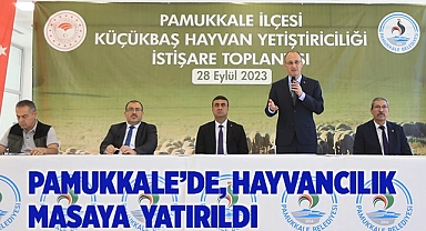 İLÇENİN HAYVANCILIK SEKTÖRÜ DEĞERLENDİRİLDİ