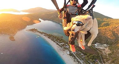 Köpeğiyle yamaç paraşütü atlayışı yaptı