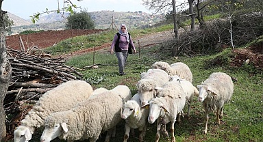 KÜÇÜKBAŞ HAYVAN VE YEM DESTEĞİ BAŞVURU SÜRESİ UZATILDI