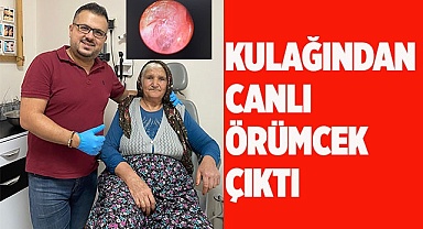 Kulağından canlı örümcek çıktı