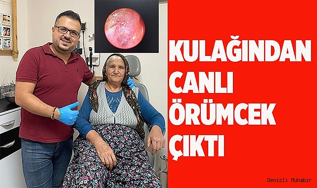 Kulağından canlı örümcek çıktı
