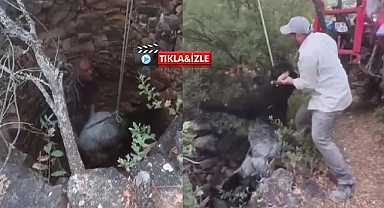 Kuyuya düşen keçi kepçeyle kurtarıldı