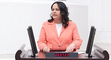 Nilgün ÖK'ten HEDEP’li Vekillere Tepki